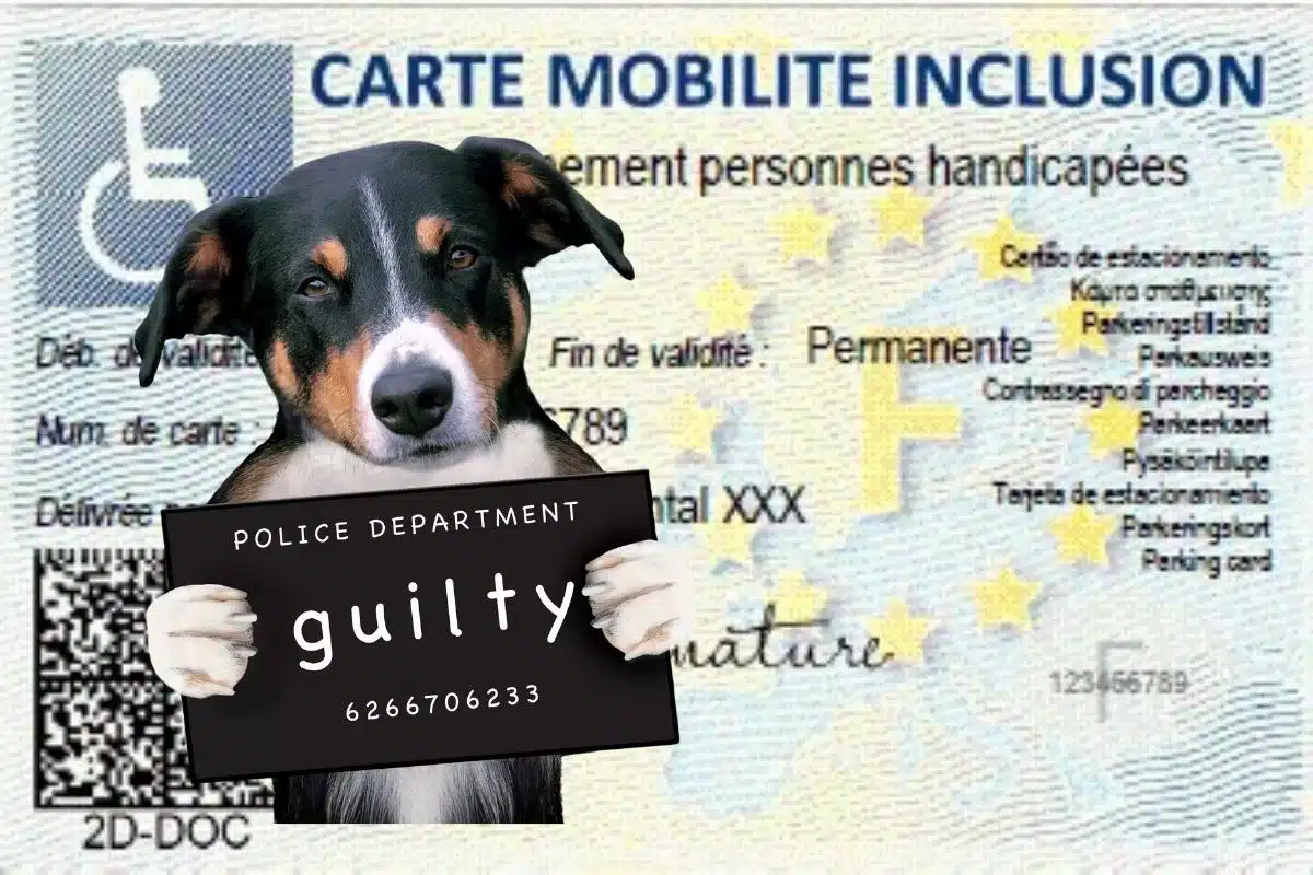 Un fichier national révolutionnaire pour dire adieu aux contraventions CMI-S ? 4 Une initiative prometteuse se profile à l'horizon pour les détenteurs de la Carte Mobilité Inclusion-Stationnement (CMI-S) : le déploiement d'un fichier national unique pourrait bientôt simplifier la vie de millions de Français en garantissant la reconnaissance de leurs droits de stationnement partout en France.